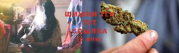 МДПВ Елабуга