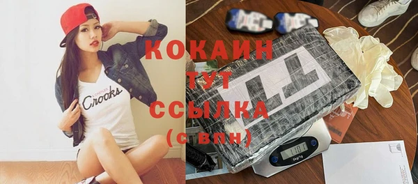 прущие крисы Алзамай
