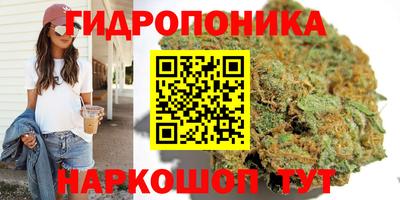 ALPHA PVP Абакан