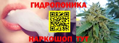 СК Абинск