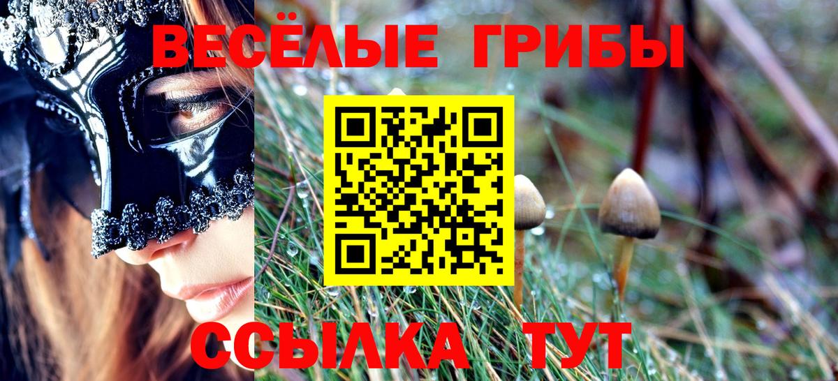 Галлюциногенные грибы Psilocybine cubensis Апатиты